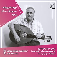 ایوب امین زاده